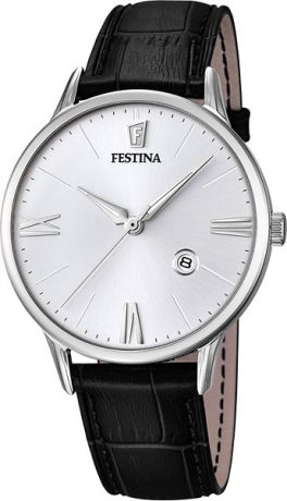 Мужские часы Festina F16824/1