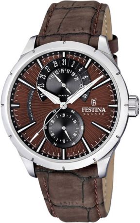 Мужские часы Festina F16573/6