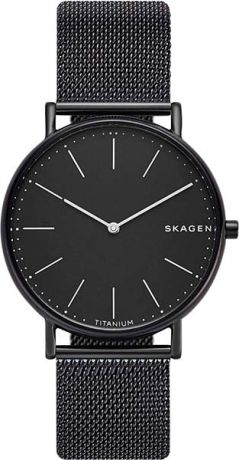 Мужские часы Skagen SKW6484