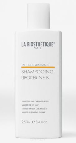 Шампунь для сухой кожи головы Methode Vitalisante Shampoo Lipokerine B