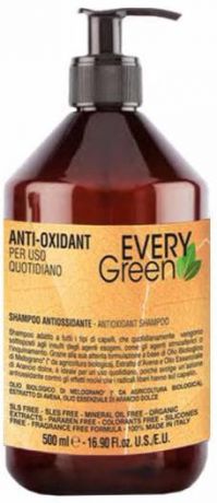 Шампунь Антиоксидант Everygreen Anti-Oxidant Shampoo Antiossidante, 500 мл