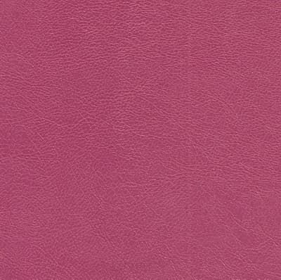 Мебель салона, Кресло парикмхерское CAMBRIDGE (31 цвет) 493 розовый