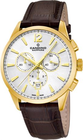 Мужские часы Candino C4518_E