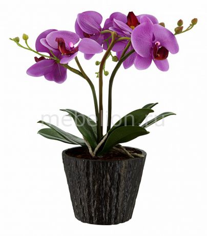 Растения в горшке Globo FlowerPower 28003