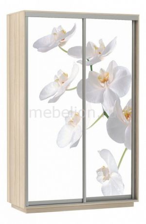 Шкаф-купе E-1 Экспресс Фото 2 Белая орхидея