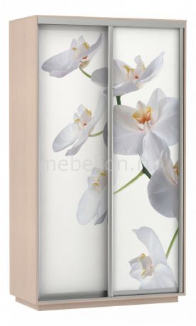 Шкаф-купе E-1 Экспресс Фото 2 Белая орхидея
