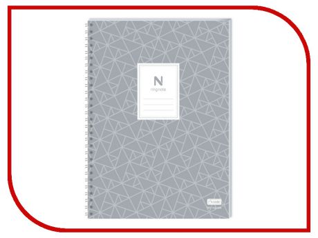 Блокнот NeoLab Neo N Ring A5 250 страниц NDO-DN108