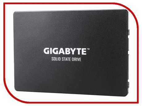 Жесткий диск GIGABYTE GP-GSTFS31120GNTD 120Gb