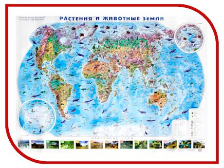 Карта Глобусный Мир Растения и животные земли 20072