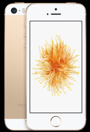 Телефон Apple iPhone SE 32GB 1723 (Золотой) RU/A