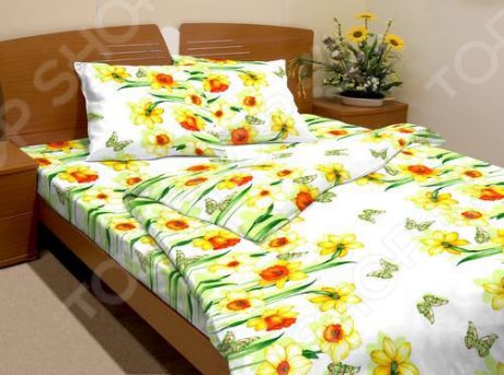 Комплект постельного белья Fiorelly «Весенний денек» 3169-1