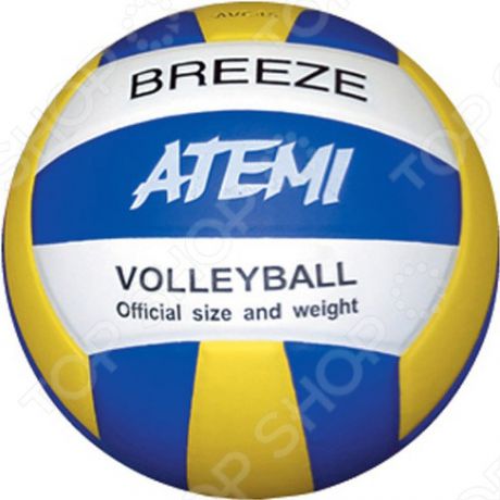 Мяч волейбольный Atemi AVC4S