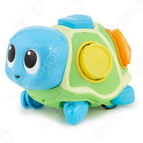 Игрушка развивающая для малыша Little Tikes «Ползающая черепаха-сортер»