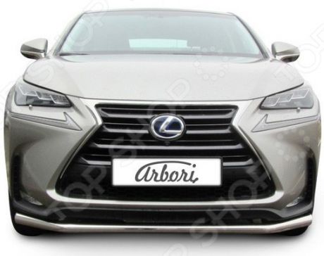 Защита переднего бампера Arbori Lexus NX 30H, 2014