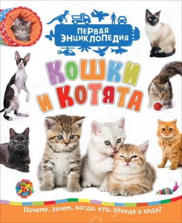 Кошки и котята Росмэн (Первая энциклопедия)