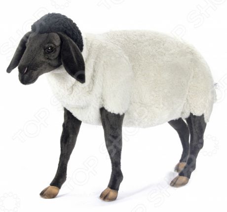 Мягкая игрушка Hansa «Суффолкская овечка»