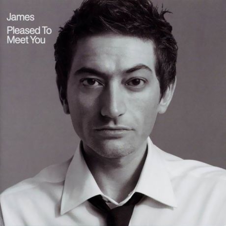 JAMES JAMES - Pleased To Meet You (2 LP)