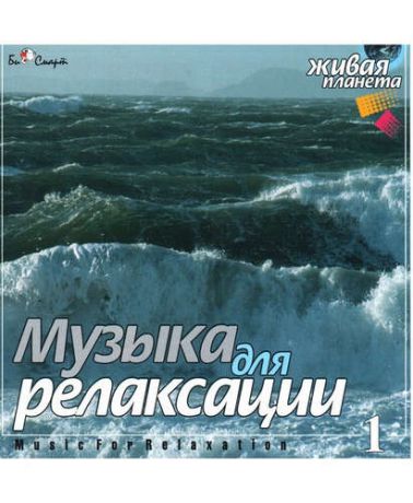 CD AK Музыка для релаксации 1 (БиСмарт)