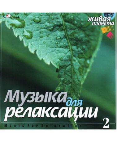 CD AK Музыка для релаксации 2 (БиСмарт)