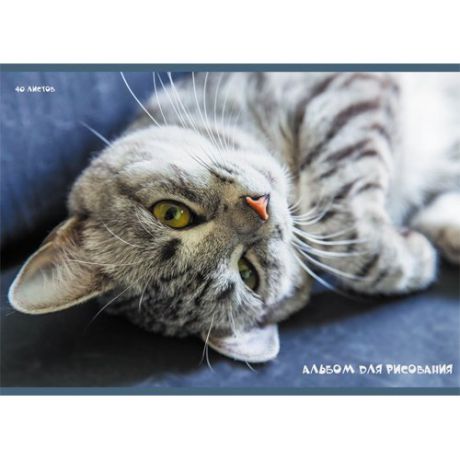 Альбом для рисования А4, 40л. Канц-Эксмо "Зеленоглазый кот" на ксрепке А401718