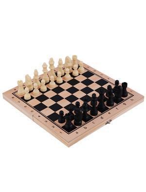 Шахматы с пластиковыми фигурами, 24х24 см