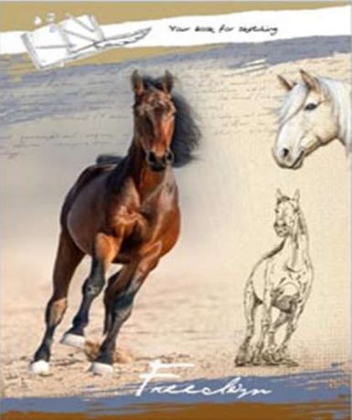 Набор для творчества Скетчбук А4,100л Лошадь на песке книжн., 7БЦ, глянц. лам. 100-3332