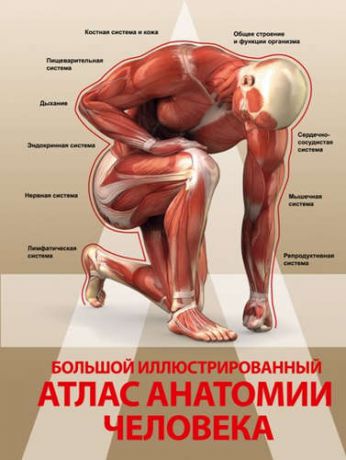 Спектор, Анна Артуровна Большой иллюстрированный атлас анатомии человека