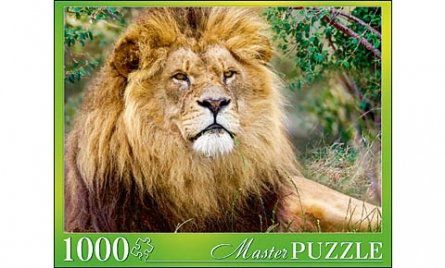 Пазл Masterpuzzle 1000эл. Африканский лев ГИМП1000-6884