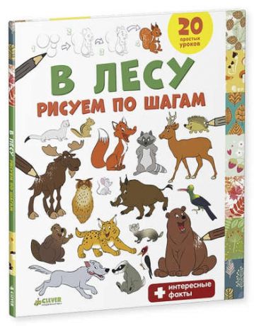 Покидаева, Татьяна Юрьевна В лесу. Рисуем по шагам