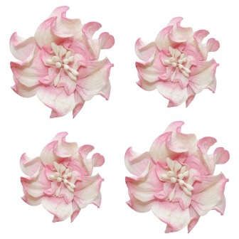 Цветы кудрявой фиалки, набор 2шт d=4см, 2шт d=3,5см, бело-розовые