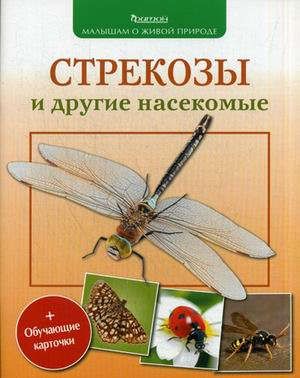 Волцит П.М. Стрекозы и другие насекомые (+обуч.карточки и раскраски)