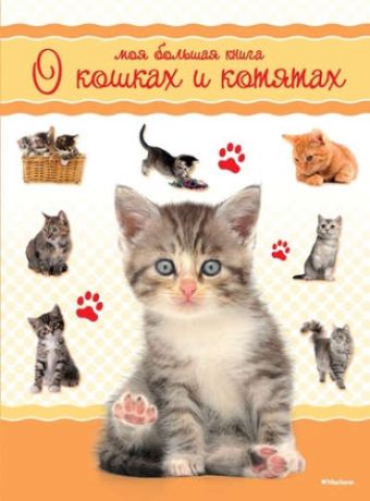 Коэ, Натали Моя большая книга о кошках и котятах