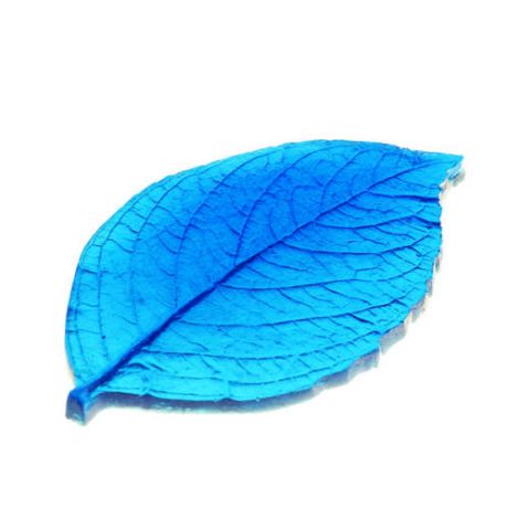 ФЛЕР Фактура гортензии лист (large), FLEUR, зелёная/синяя
