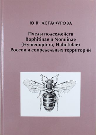 Астафурова Ю.В. Пчелы подсемейств Rophitinae и Nomiinae (Hymenoptera, Halictidae) России и сопредельных территорий