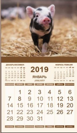Календарь магнитный Символ года 2019 Поросёнок на сене