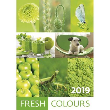 Календарь на 2019г. Fresh Colours (Разноцветный мир) 31,5*45см, пружина на 1 ригеле