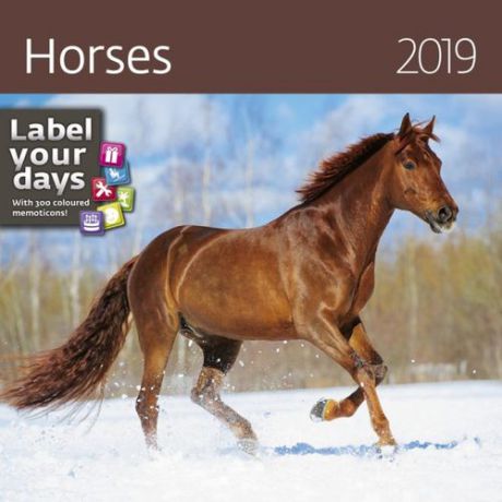 Календарь на 2019г. КО: Horses (Лошади) 30*30см, на спирали