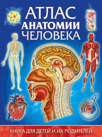 Гуиди В. Атлас анатомии человека.Книга для детей и их родителей