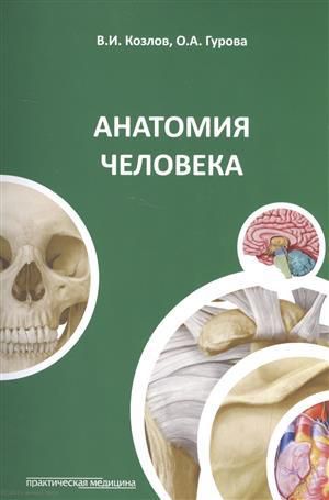 Козлов В. Анатомия человека. 3-е изд., перераб. и доп.