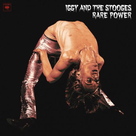 Виниловая пластинка Iggy Pop / Stooges, The, Rare Power