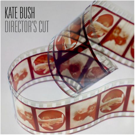 Виниловая пластинка Kate Bush, Director