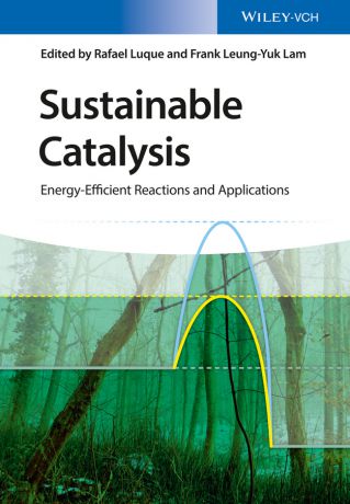 Rafael Luque Sustainable Catalysis. Energy-Efficient Reactions and Applications