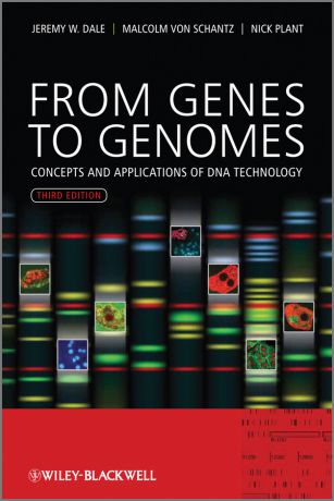 Nicholas Plant From Genes to Genomes. Concepts and Applications of DNA Technology
