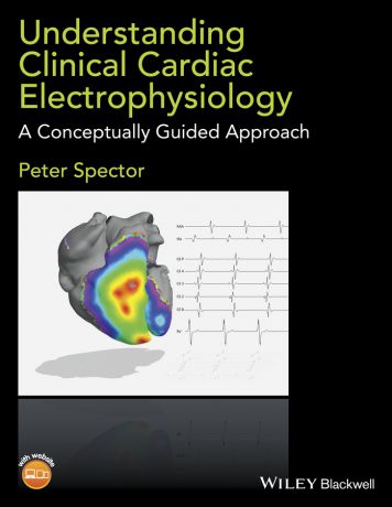 Peter Spector Understanding Cardiac Electrophysiology. A Conceptually Guided Approach