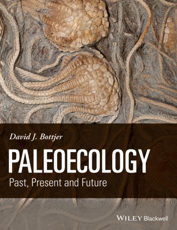 David Bottjer J. Paleoecology. Past, Present and Future