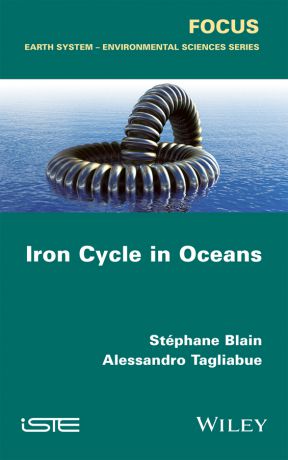 Alessandro Tagliabue Iron Cycle in Oceans