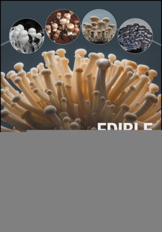 Arturo Pardo-Giménez Edible and Medicinal Mushrooms. Technology and Applications
