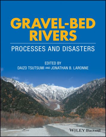 Daizo Tsutsumi Gravel-Bed Rivers. Process and Disasters