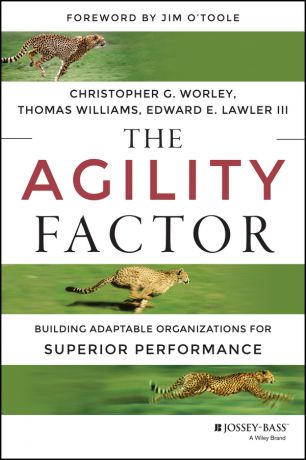 Christopher Worley G. The Agility Factor. Building Adaptable Organizations for Superior Performance