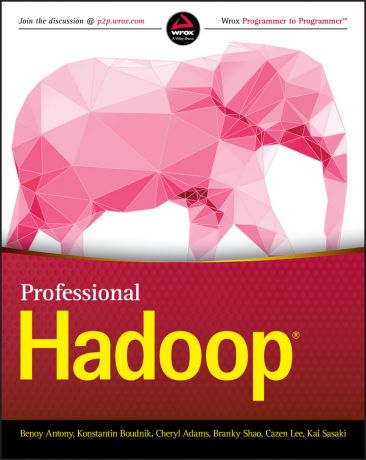 Kai Sasaki Professional Hadoop